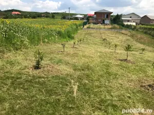 Teren intravilan de vanzare 5000 mp