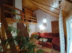 Cabana ta de vis  #238;n inima naturii – Padurea Neagra - Bihor - imagine 8