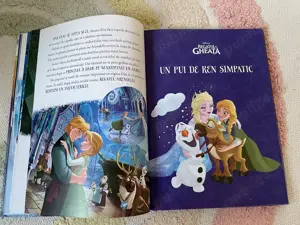 Carte si audiobook - Regatul de gheata - imagine 4