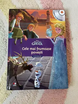 Carte si audiobook - Regatul de gheata