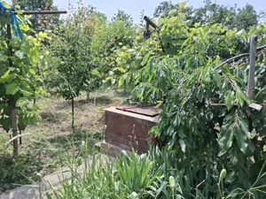 Vand proprietate in comuna Nanesti Vrancea - imagine 6