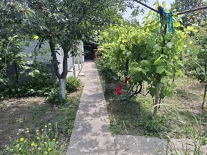 Vand proprietate in comuna Nanesti Vrancea - imagine 4