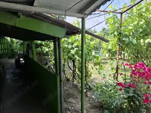 Vand proprietate in comuna Nanesti Vrancea - imagine 3