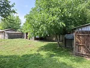 Vand proprietate in comuna Nanesti Vrancea - imagine 10