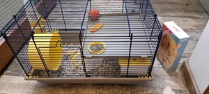 Vând cusca de hamster 