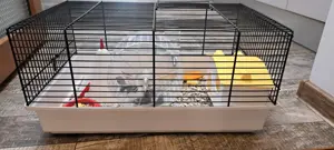 Vând cusca de hamster