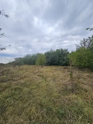 Teren Extravilan Ostrovul Mare , MH - imagine 2