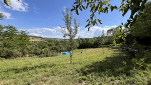 Teren intravilan Lunca, Băița  - imagine 6