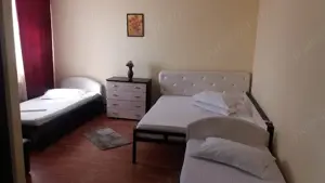 Vand Casa  Afacere Motel-Pensiune situat Pitesti Geamana Strada Primaveri nr 1B - imagine 9
