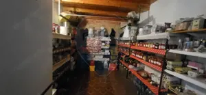 Vilă impunătoare în Cartierul Funcționarilor - imagine 9