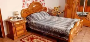 Vilă impunătoare în Cartierul Funcționarilor - imagine 8