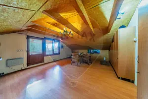 Ferma de cai andaluzi de vanzare - Zadareni - imagine 7