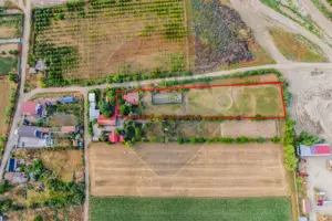 Teren intravilan de  4,000 mp in Zadareni