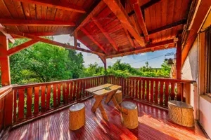 Ferma de cai andaluzi de vanzare - Zadareni - imagine 9