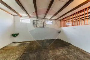 Ferma de cai andaluzi de vanzare - Zadareni - imagine 5