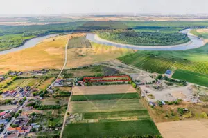 Ferma de cai andaluzi de vanzare - Zadareni