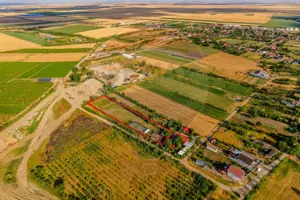 Ferma de cai andaluzi de vanzare - Zadareni - imagine 13