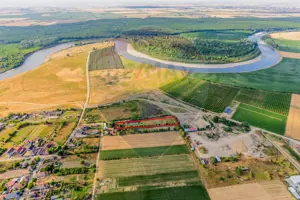 Ferma de cai andaluzi de vanzare - Zadareni - imagine 14