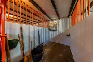 Ferma de cai andaluzi de vanzare - Zadareni - imagine 15