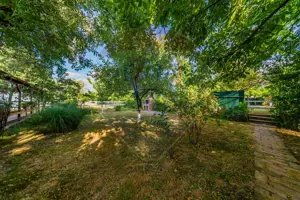 Ferma de cai andaluzi de vanzare - Zadareni - imagine 11