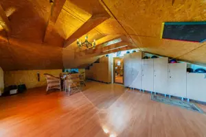 Ferma de cai andaluzi de vanzare - Zadareni - imagine 18