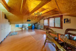 Ferma de cai andaluzi de vanzare - Zadareni - imagine 20