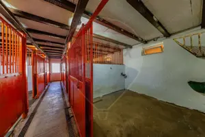 Ferma de cai andaluzi de vanzare - Zadareni - imagine 16