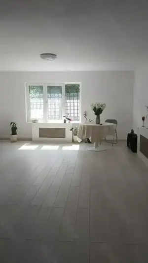 Vand casa  pădurea Baneasa, sector 1- Aleea Teisani  - imagine 10