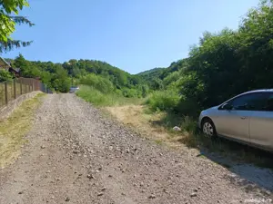 Vand teren in Brad - imagine 2