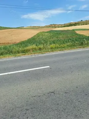 Vand teren extravilan 5800 mp - imagine 5