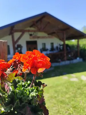 Vând pensiune, casă de vacanță  - imagine 7