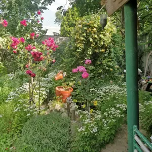 Proprietar apartament la casa zona rezidențială 