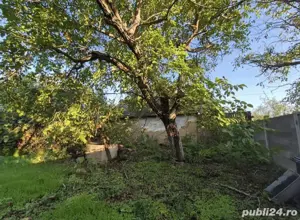 Casa bătrânească  - imagine 4