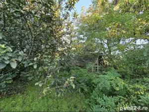 Casa bătrânească  - imagine 5