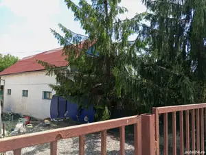 vind anexa cu destinația de alimentație publică  - imagine 3 vind anexa cu destinația de alimentație publică  - imagine 3