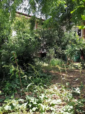 Vila ideala clinica Aparatorii Patriei 450 mp casa si teren - imagine 5