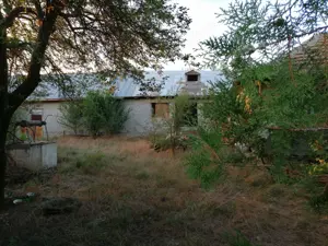 Vând teren intravilan plus casa în sat Potarnichea, Constanța  - imagine 2