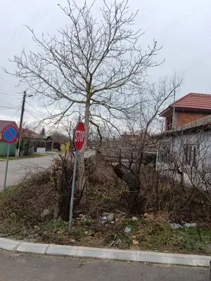 Casă bătrânească 