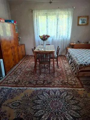 Casa cu gradina Petris ,jud Arad - imagine 7