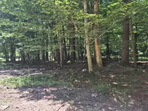 Teren Valiug, 612mp, ID 1036, 0% comision  - imagine 2