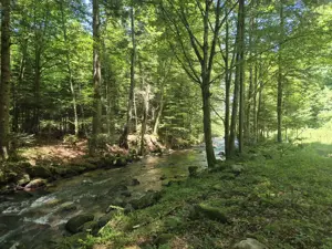 Teren Valiug, 612mp, ID 1036, 0% comision  - imagine 3