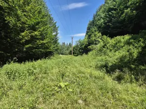 Teren Valiug, 612mp, ID 1036, 0% comision  - imagine 4