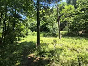 Teren Valiug, 612mp, ID 1036, 0% comision  - imagine 14