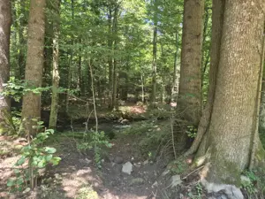 Teren Valiug, 612mp, ID 1036, 0% comision  - imagine 5