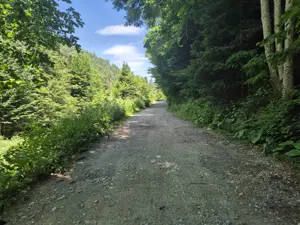 Teren Valiug, 612mp, ID 1036, 0% comision  - imagine 9