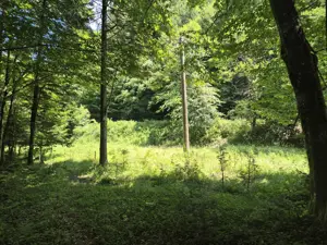 Teren Valiug, 612mp, ID 1036, 0% comision  - imagine 7