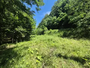 Teren Valiug, 612mp, ID 1036, 0% comision  - imagine 13