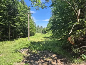 Teren Valiug, 612mp, ID 1036, 0% comision  - imagine 12