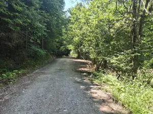 Teren Valiug, 612mp, ID 1036, 0% comision  - imagine 11