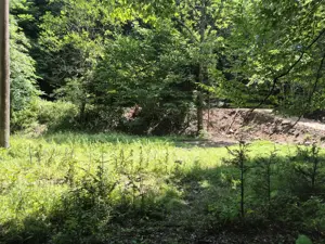 Teren Valiug, 612mp, ID 1036, 0% comision  - imagine 16